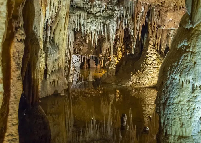 In - Istrien 35369 *