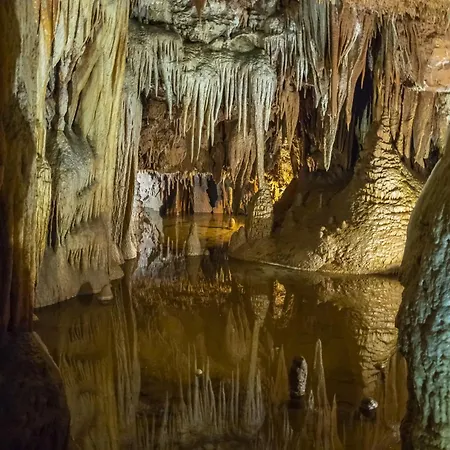 In - Istrien 35369 *